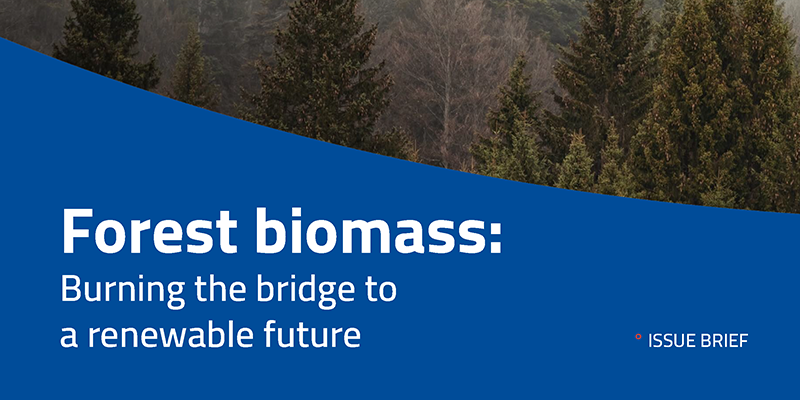 [Issue Brief] Forest Biomass: Burning the bridge to a renewable future