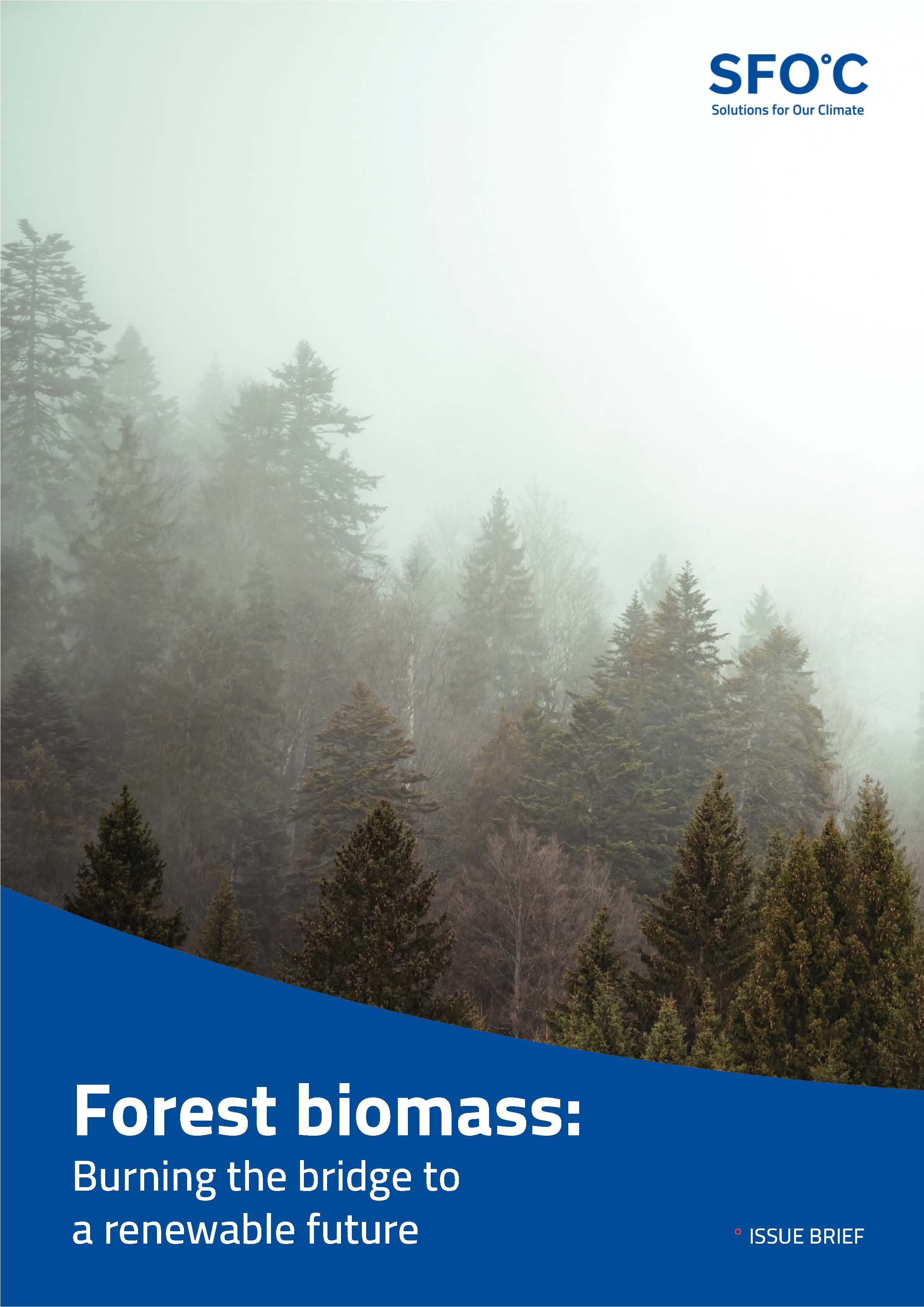 [Issue Brief] Forest Biomass: Burning the bridge to a renewable future