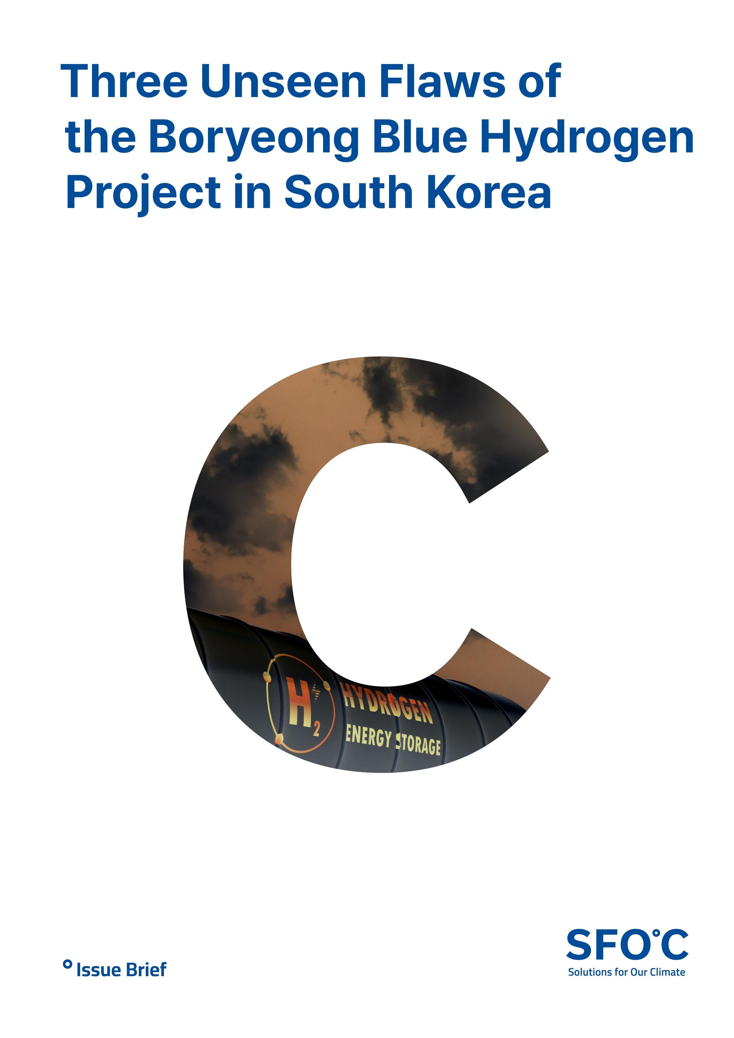 Three Unseen Flaws of the Boryeong Blue Hydrogen Project in South Korea